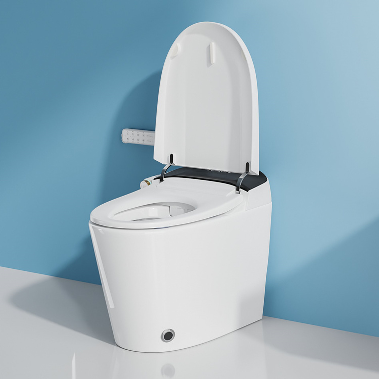 家庭装飾浴室スマート電子自動洗浄センサー付き水洗トイレ - Home For Bathroom のレビューと価格