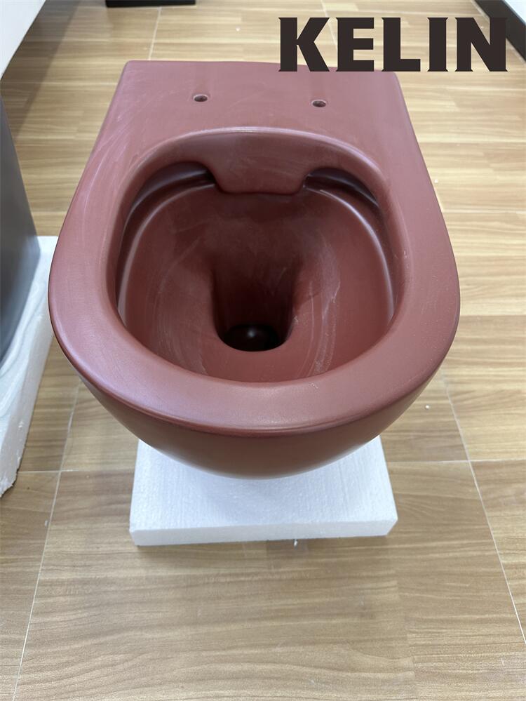 KELIN新型モダンスタイル洗浄式隠しタンクアプリコットセラ - Home For Bathroom のレビューと価格